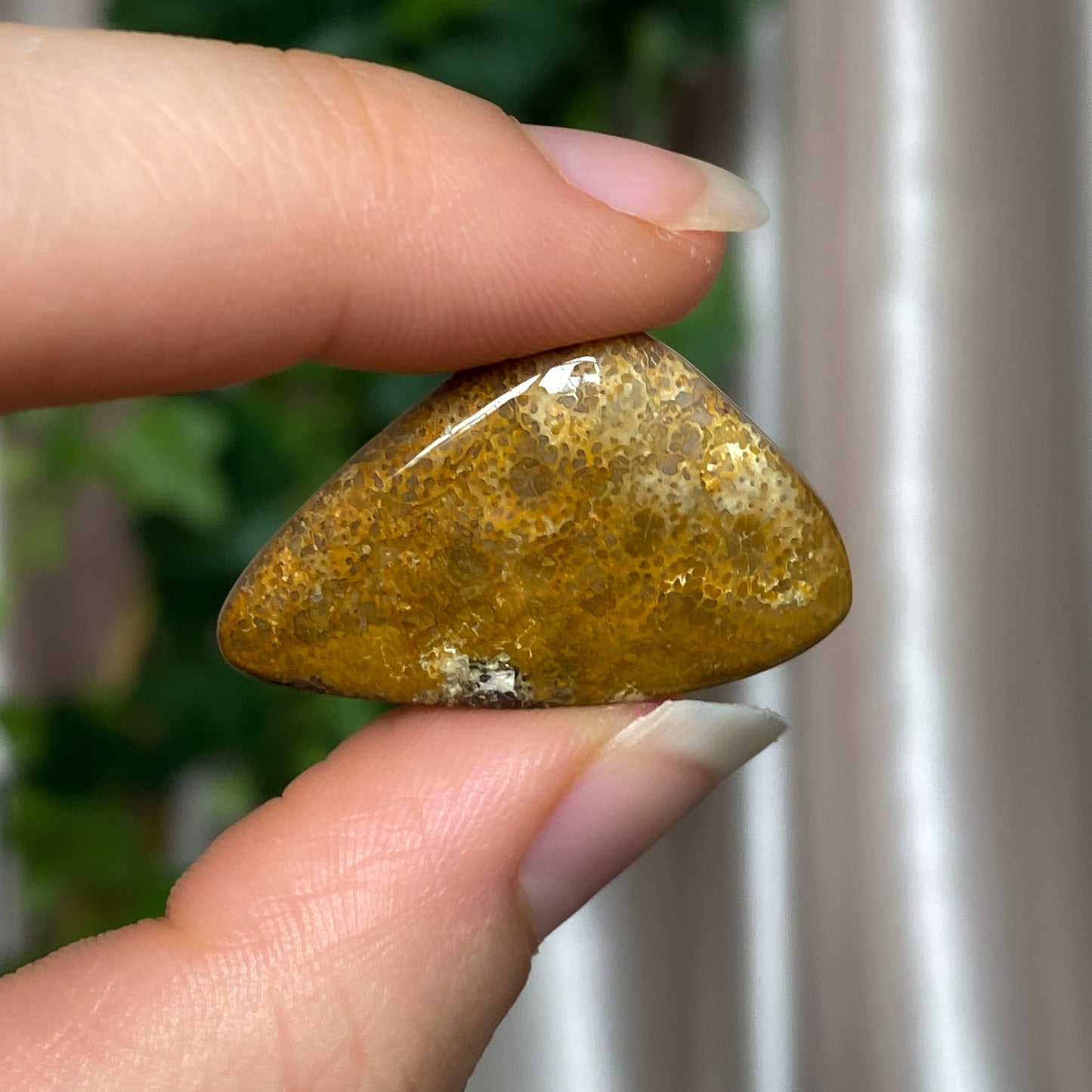 Gemstone Cabochon